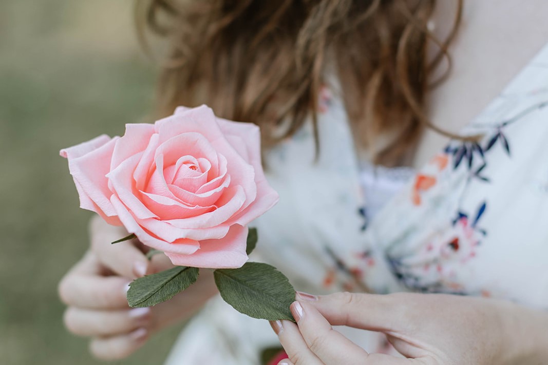 Holding a paper rose